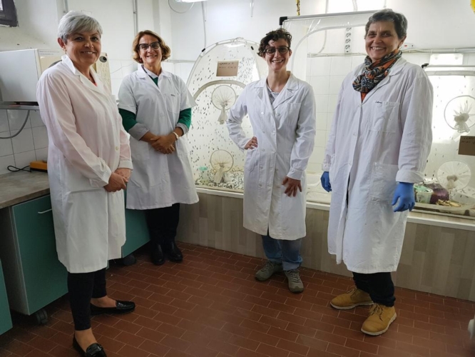 Da destra verso sinistra, la professoressa Elisabetta Rossi e le ricercatrici Alice Cappucci, Rosalba Risaliti, Sabrina Ciampa, impegnate nel progetto