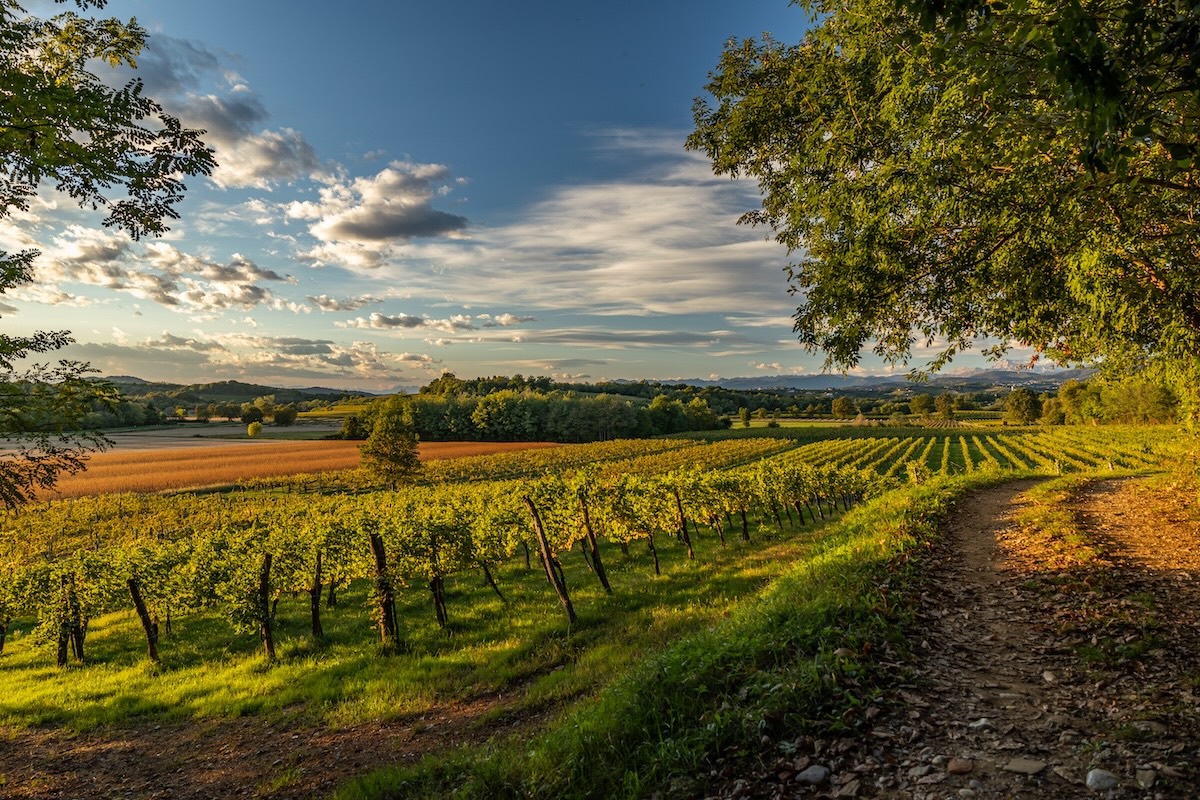 Paesaggio con campi in pianura e collina, cielo altra monto con nuvole e luce del sole