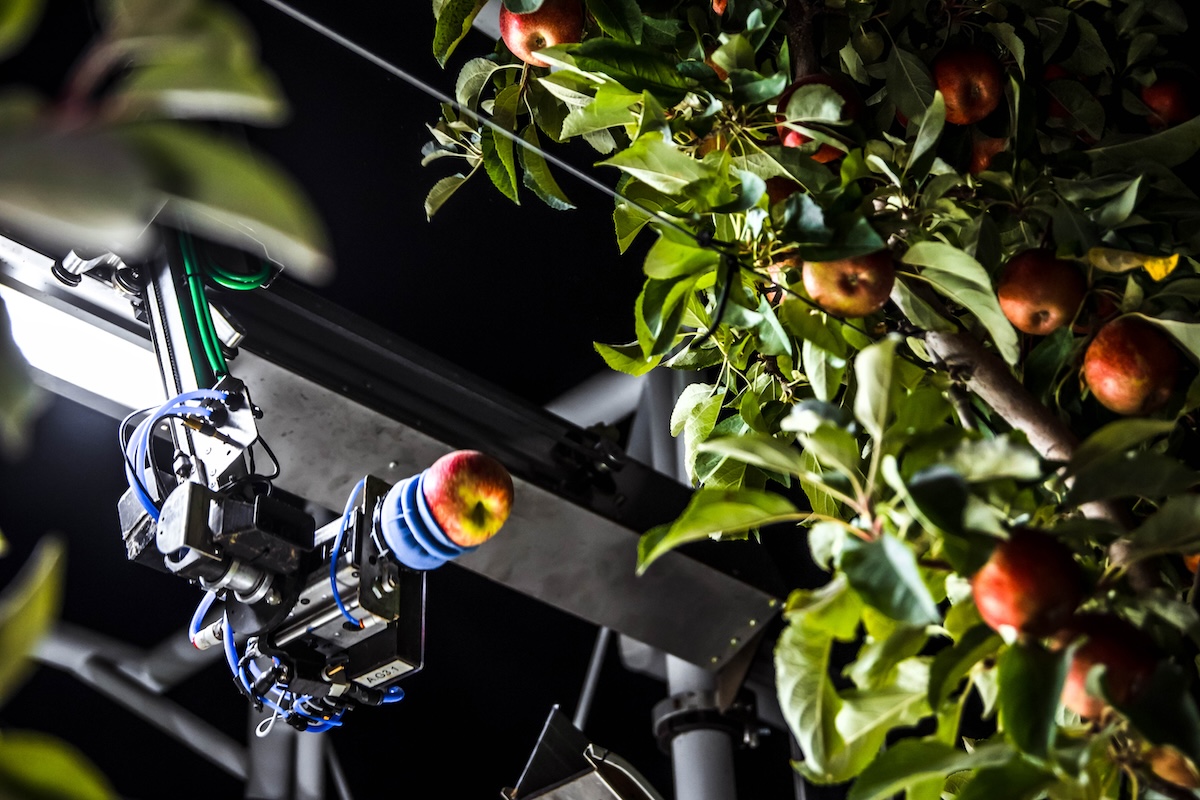 Raccolta robotizzata delle mele tra le attività della start up Advanced Farm Technologies