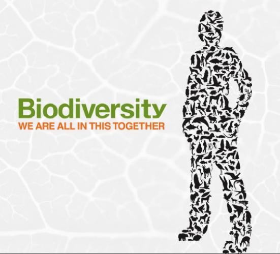 Biodiversità, una campagna informativa europea