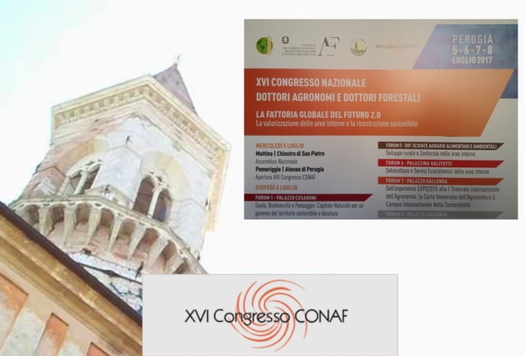 Il programma e il logo del congresso sullo sfondo del chiostro di S. Pietro all'università di Perugia