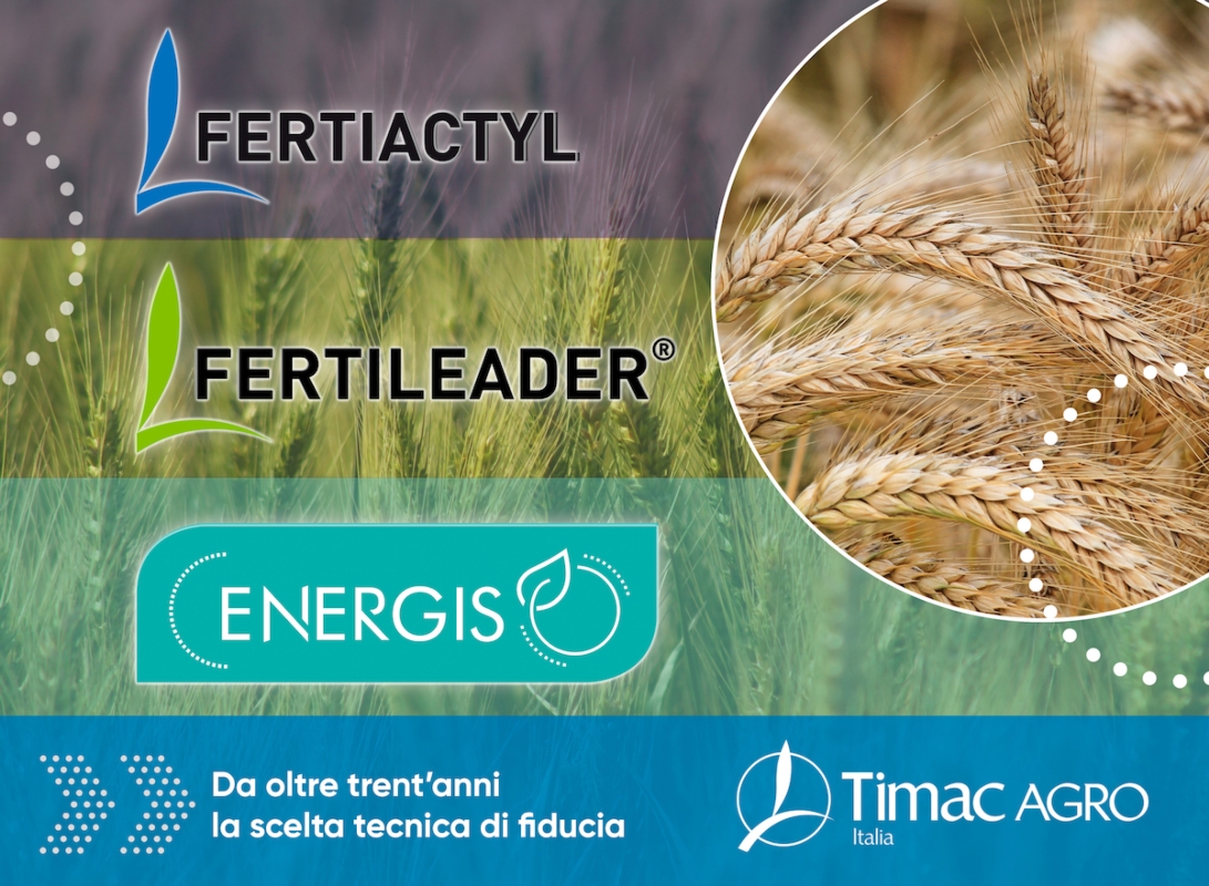 TIMAC AGRO Italia al fianco dei cerealicoltori con le gamme di prodotti liquidi ad applicazione fogliare Fertiactyl, Fertileader ed Energis