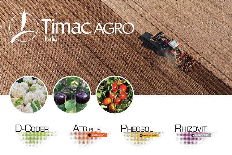 Effettuando un'opportuna concimazione di fondo con le soluzioni di Timac Agro Italia si migliorerebbero le performance produttive delle colture