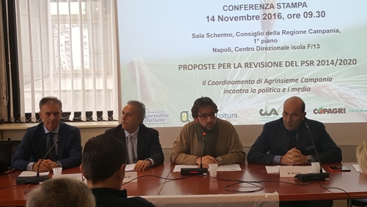 Da sinistra: Alfonso di Massa, presidente Fedagri Confcooperative Campania,Filippo Diasco, direttore generale assessorato Agricoltrua, e in fondo a destra Rosario Rago, presidente di Confagricoltura 