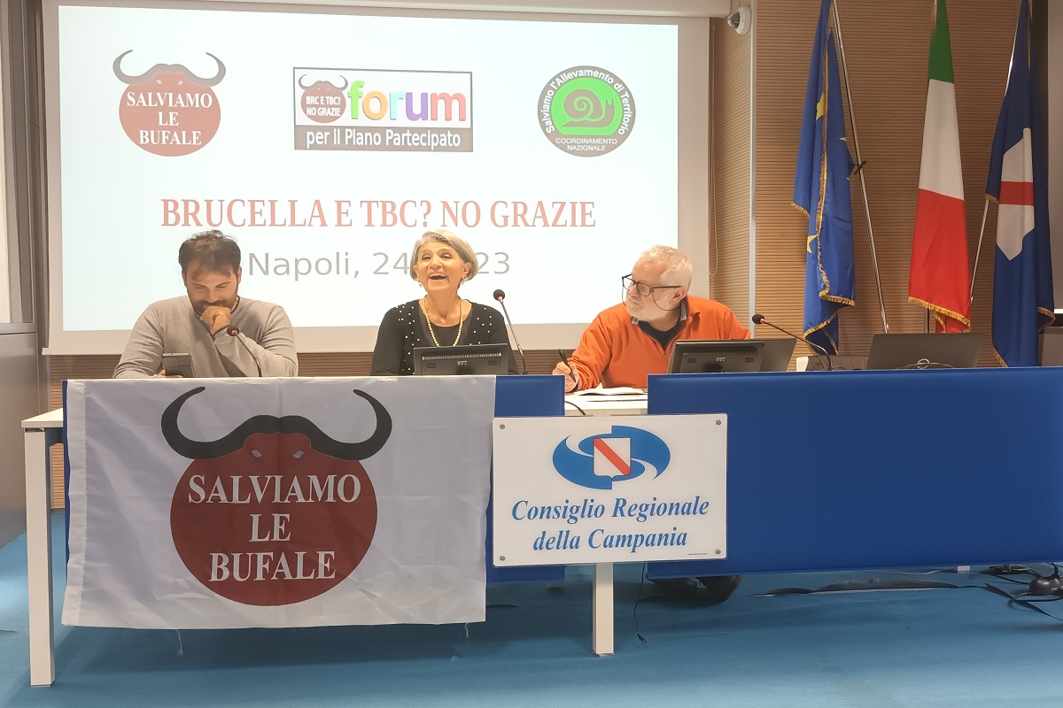In fotografia un momento della conferenza stampa con (da sinistra) Adriano Noviello, Maria Muscarà e Gianni Fabbris