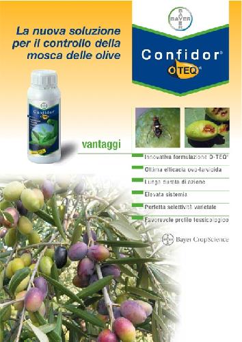 Controllo della mosca delle olive, l'innovativa formulazione di Confidor O-TEQ