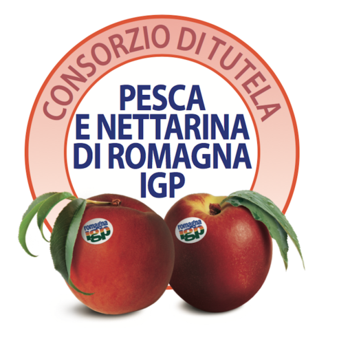 La pesca e la nettarina di Romagna Igp è coltivata nelle province di Bologna, Ravenna, Forlì, Cesena e Rimini 
