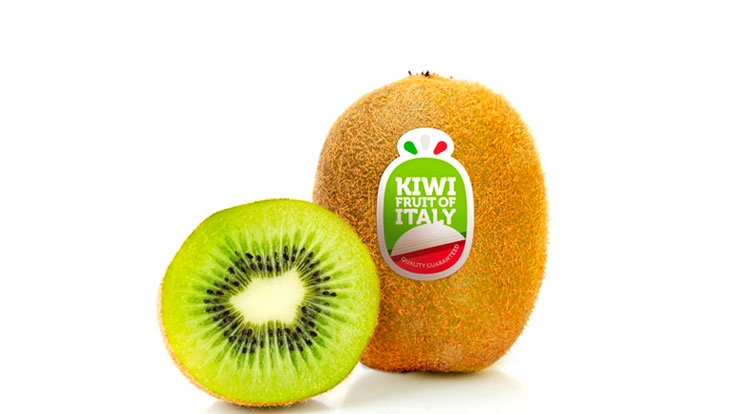 Kiwifruit: l'andamento stagionale ha ritardato la maturazione dell'actinidia