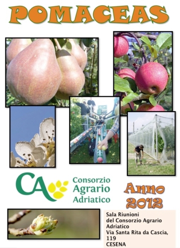 Dal 20 novembre 2012, al Consorzio agrario adriatico di Cesena