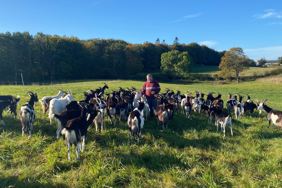 L'obiettivo del Governo è di riportare allo stato naturale il 15% delle aree coltivate