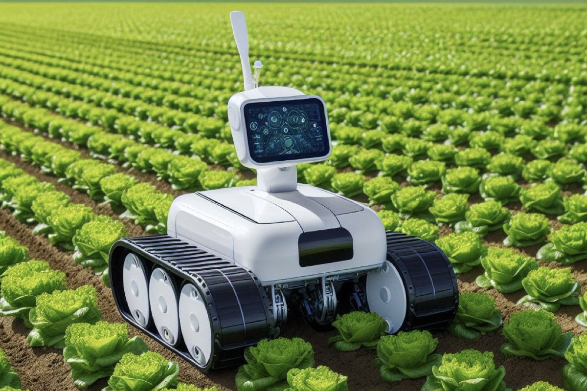 I 6 robot più curiosi ed innovativi dell'ottava edizione del World Fira 2024