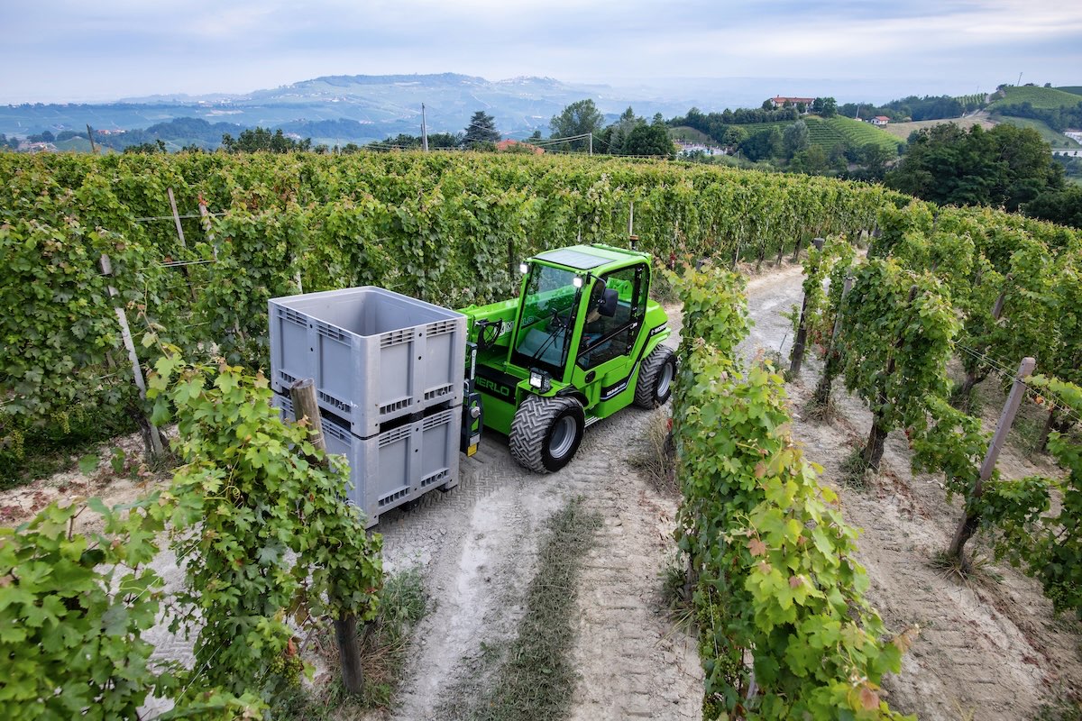 Sollevatore telescopico Merlo e-Worker impegnato nel trasporto di bins in un vigneto