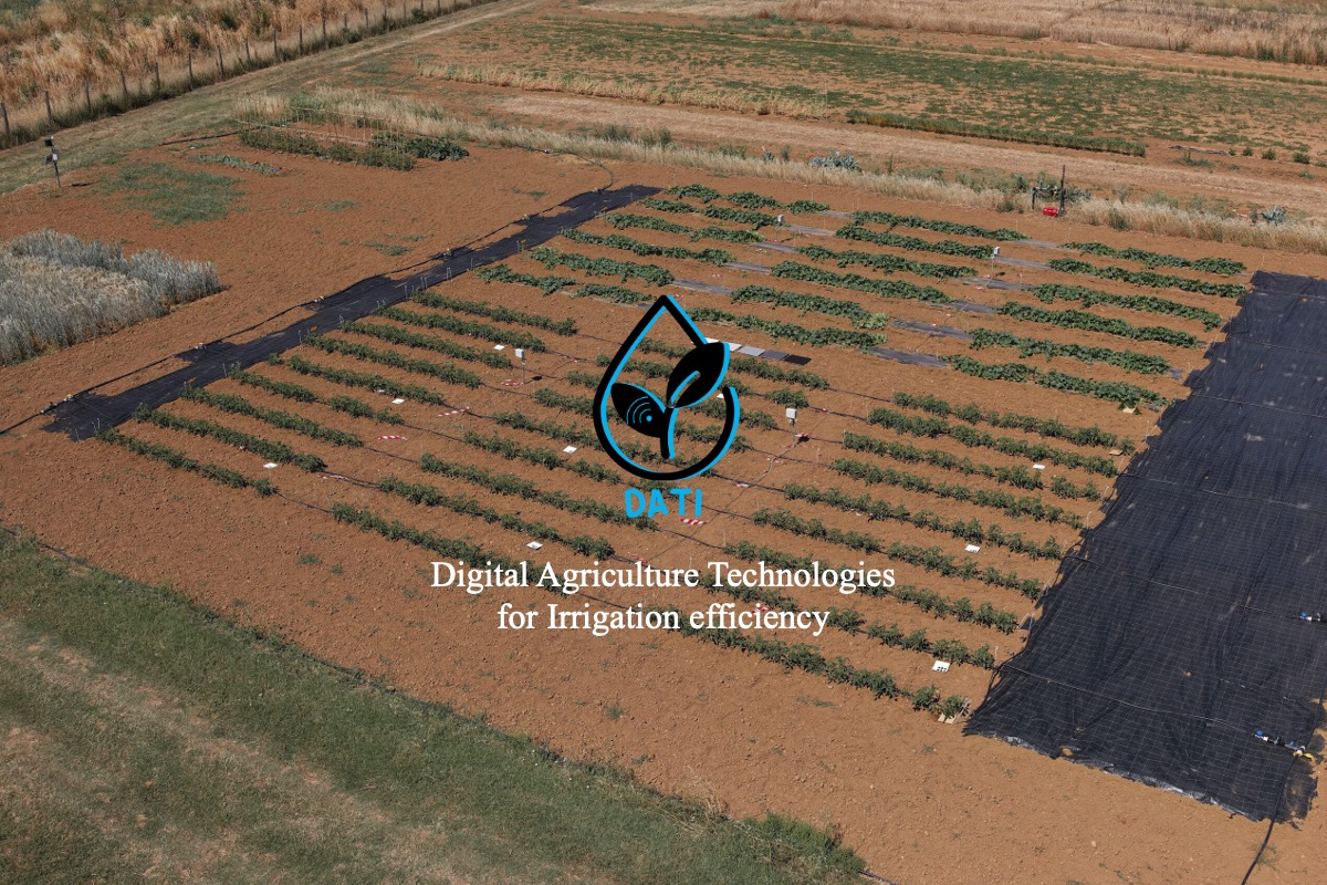Tecnologie di agricoltura digitale per un'irrigazione efficiente delle colture orticole
