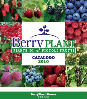 Berry Plant: piante di piccoli frutti