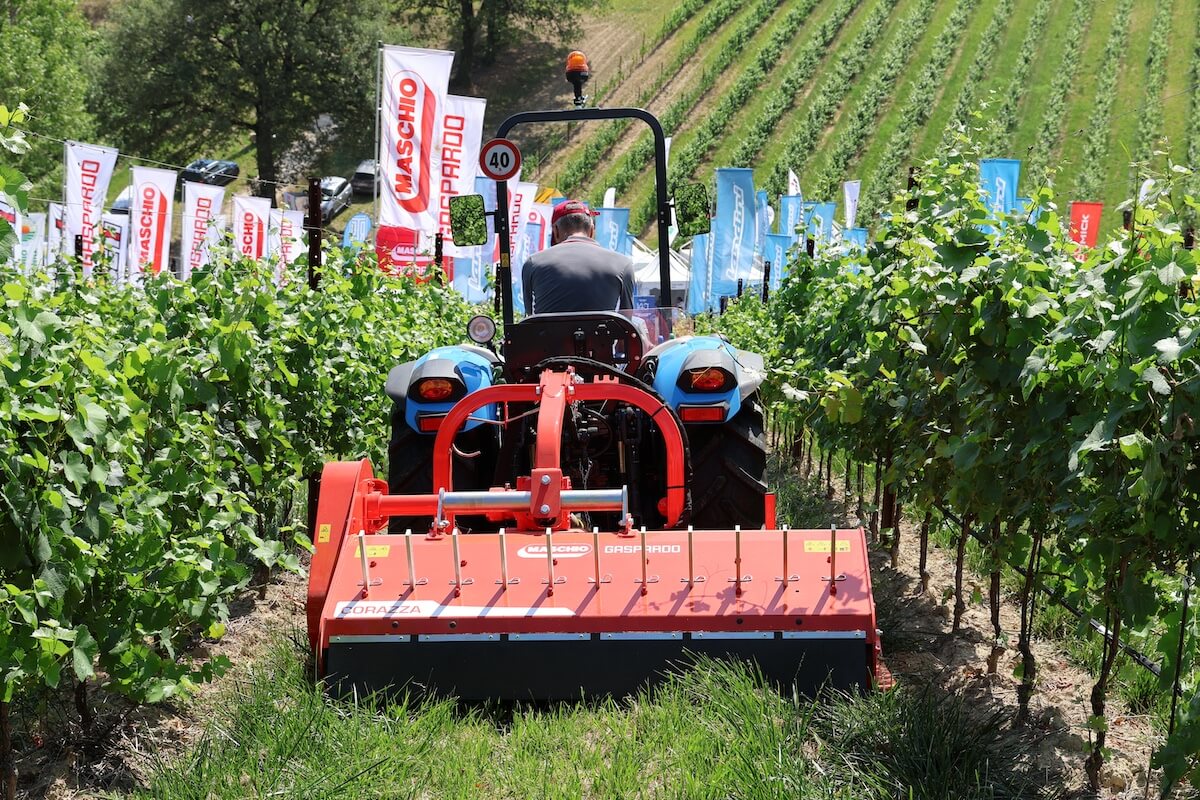 Scopri Corazza, la trinciatrice di Maschio Gaspardo per gestire l'interfila inerbito