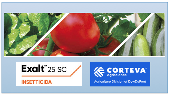 Exalt™ 25 SC: nuovo insetticida di Corteva a base di spinetoram