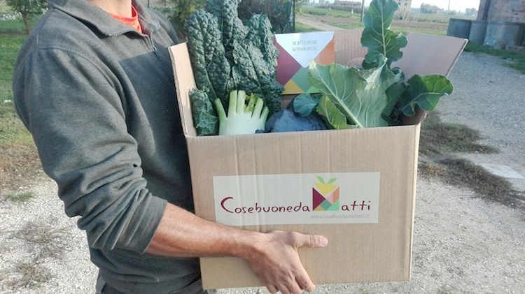 Cosebuonedamatti.it è la piattaforma e-commerce per la vendita e la distribuzione di prodotti agricoli coltivati da ragazzi in situazione di svantaggio