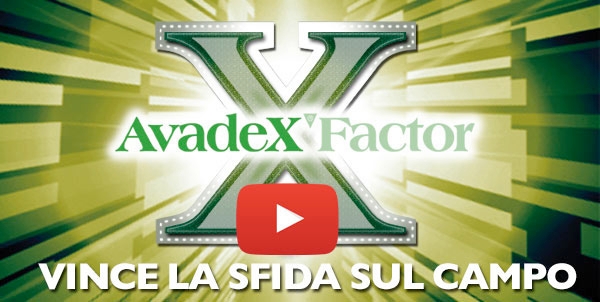 Avadex Factor è l’innovativo graminicida selettivo di pre-emergenza di Gowan Italia