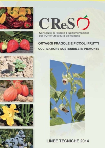 Guida tecnica del CReSO dedicata alla coltivazione sostenibile di ortaggi, fragola e piccoli frutti in Piemonte
