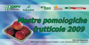 Frutticoltura, le mostre pomologiche del CRPV
