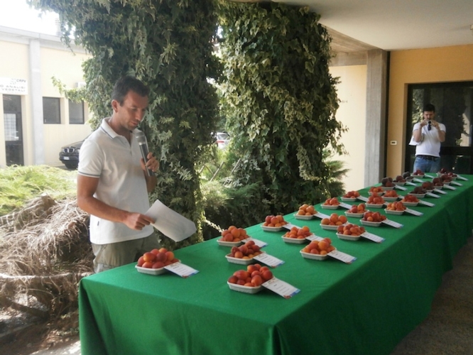 La presentazione di Stefano Foschi dei campioni varietali esposti alla mostra pomologica di Imola, Astra Unità operativa Mario Neri
