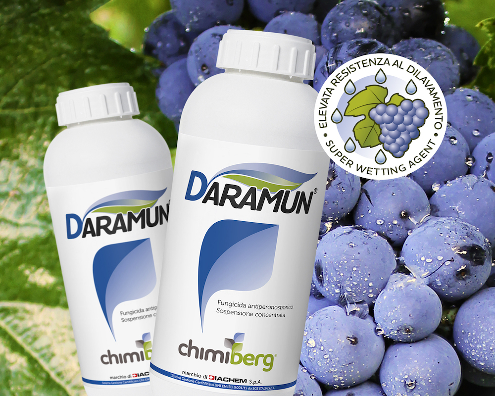 Daramun® è un prodotto in sospensione concentrata a base della sostanza attiva cyazofamid