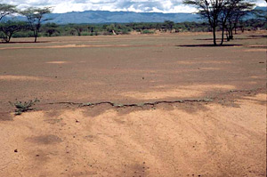 Degrado delle terre coltivabili in Africa