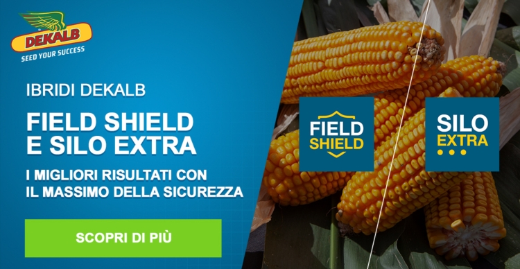 Field Shield e Silo Extra: le soluzioni Dekalb per trinciato e granella