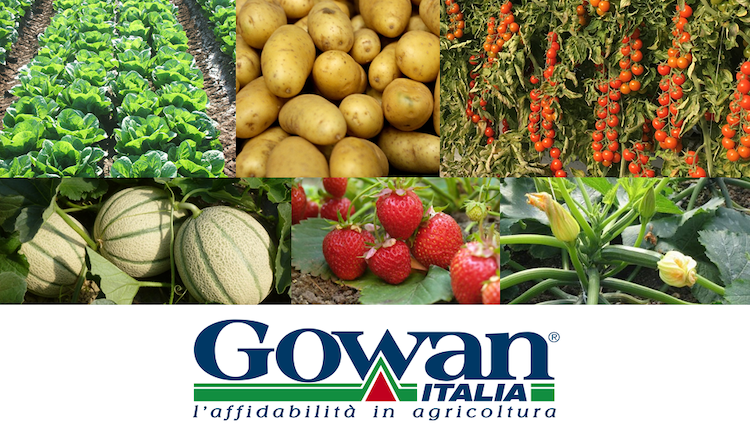 Gowan Italia mette a disposizione del settore un'ampia gamma di soluzioni tecniche di sicura efficacia ed affidabilità
