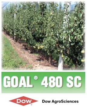 Goal 480 SC: la soluzione autunnale per i frutteti