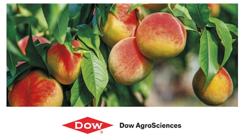 Reldan 22 e Reldan LO di Dow AgroSciences