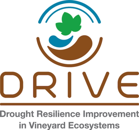 drive-logo.jpg