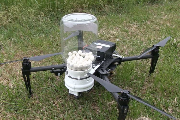 Il drone permette di distribuire il T. brassicae con facilità in campo