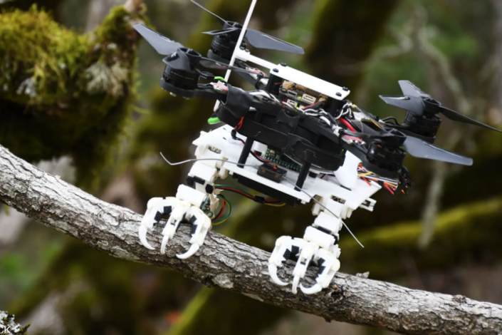 Il drone rapace è in grado di aggrapparsi ai rami