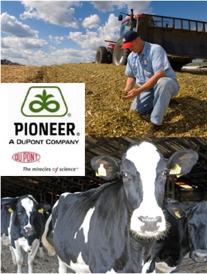 Pioneer Hi-Bred al fianco di veterinari e allevatori 