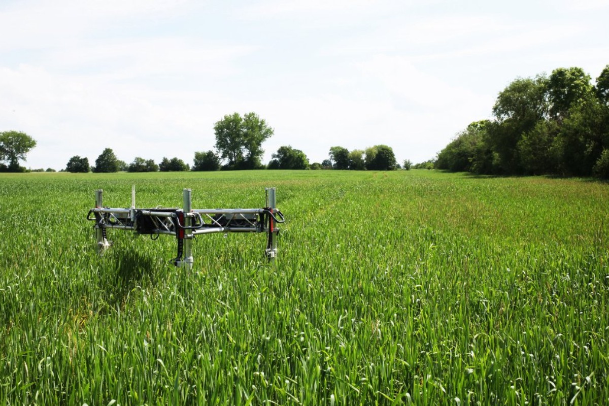 L'adozione di robot in agricoltura migliora l'efficienza e la precisione delle operazioni