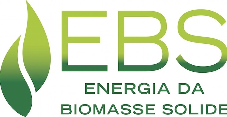 Ebs, Ebs da biomasse solide