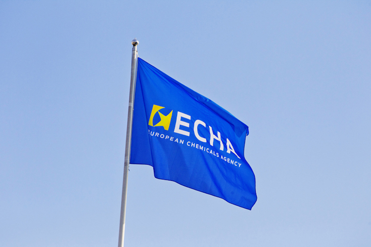 L'Echa è l'Agenzia europea delle sostanze chimiche