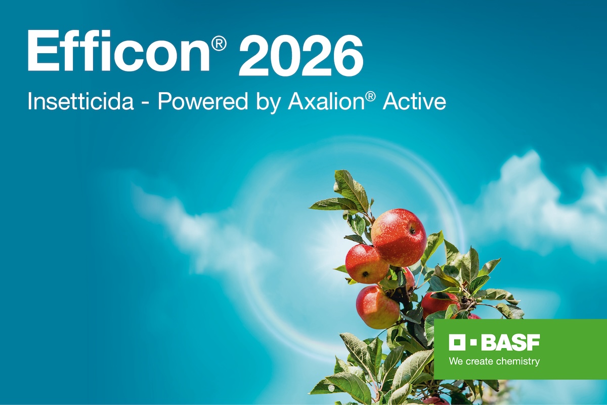 Efficon® 2026, il nuovo insetticida di BASF - News Fitogest