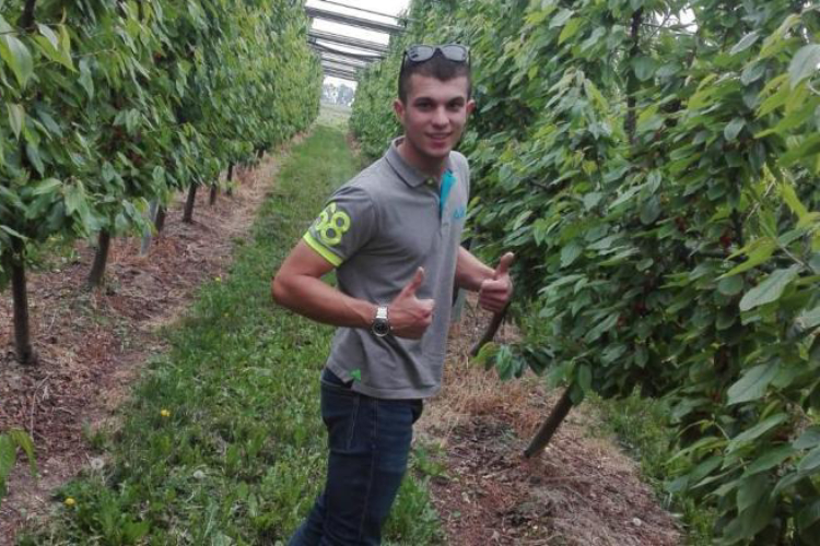 Elia Fedrigo, diciannove anni, coltiva ciliegie in serra