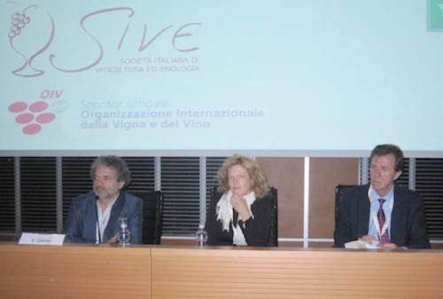 Enoforum, da sinistra: Ettore Capri, Lucrezia Lamastra e Giovanni Rizzotti