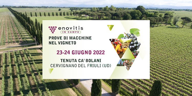 Tenuta Ca' Bolani, location di Enovitis in Campo 2022, sorge nel cuore della Doc Aquileia e rappresenta la più importante estensione a vigna del Nord Italia