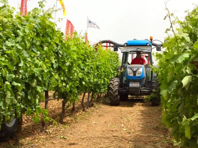 Innovazione in agricoltura, in primo piano in Puglia con l'AgroInnovation Tour di Image Line