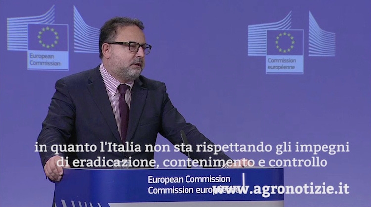 Enrico Brivio, portavoce della Commissione Ue Salute pubblica, durante il suo intervento presso la Commissione europea il 10 dicembre 2015