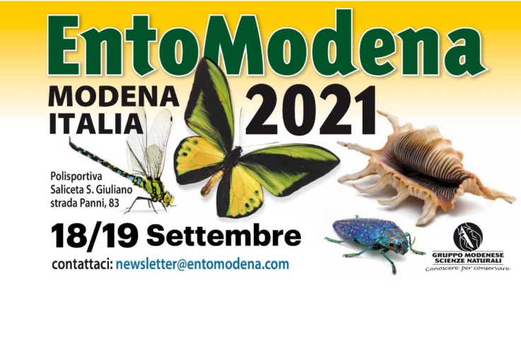 entomodena-locandina-by-entomodena-jpg.jpg
