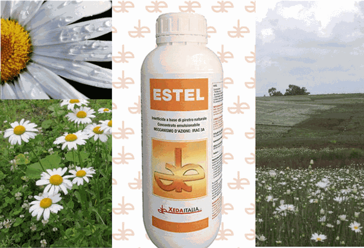 Estel,  insetticida naturale che contiene piretrine in ragione di 40 g/L