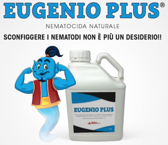 eugenio-plus-fonte-xeda-italia.png