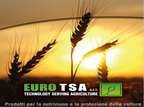 Euro Tsa: la soluzione vincente per la difesa e nutrizione del frumento