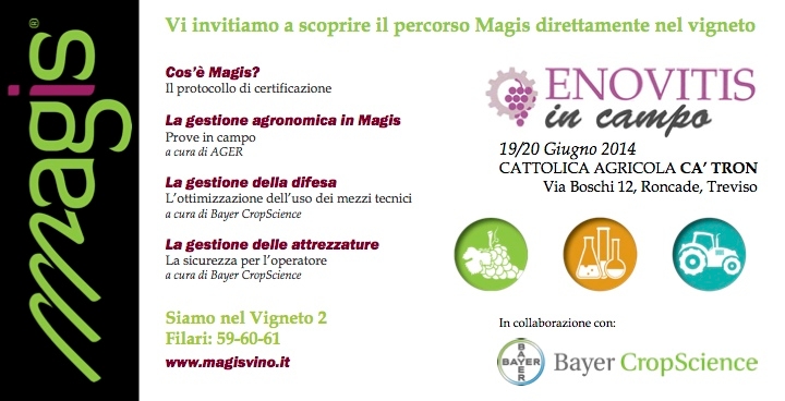 eventi-magis-enovitis-in-campo-19-20-giugno-2014
