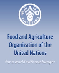 La Fao promuove una consultazione on line sulla sicurezza alimentare